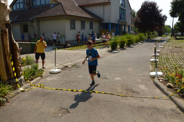 Falunap 2017